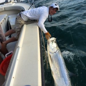 tarpon fishing