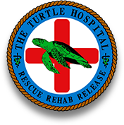 turtle hospital logo